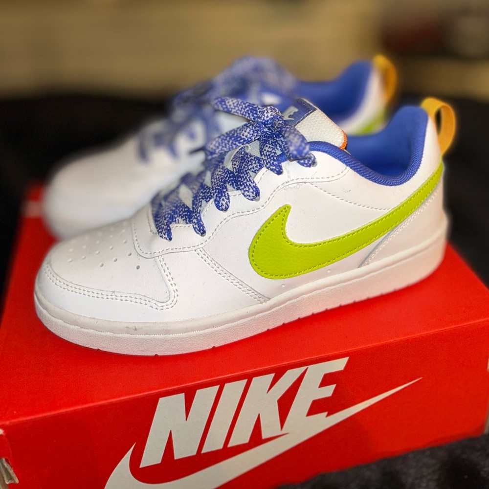 Nike Court Borough Low 2 shoes